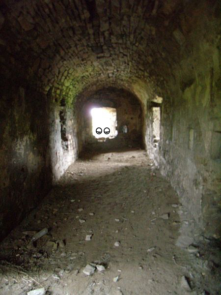 Window