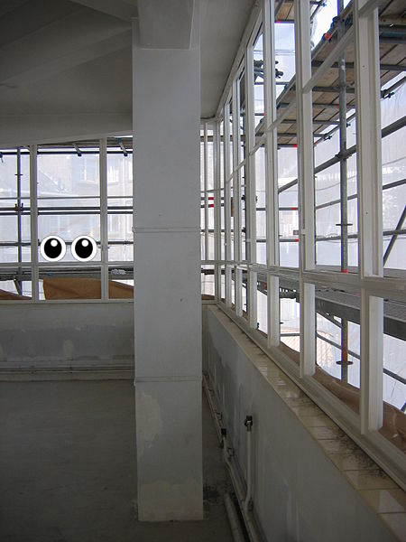 Window