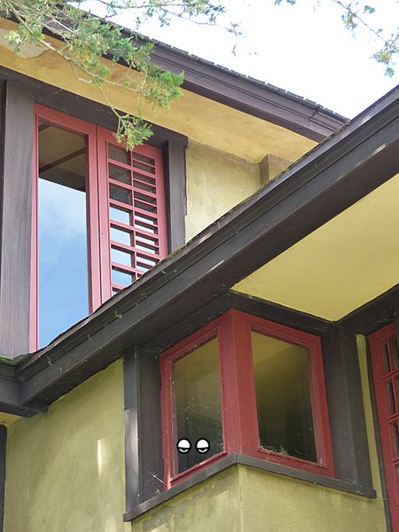 Window