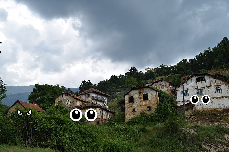 House, House, House, House
