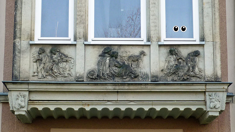 Window