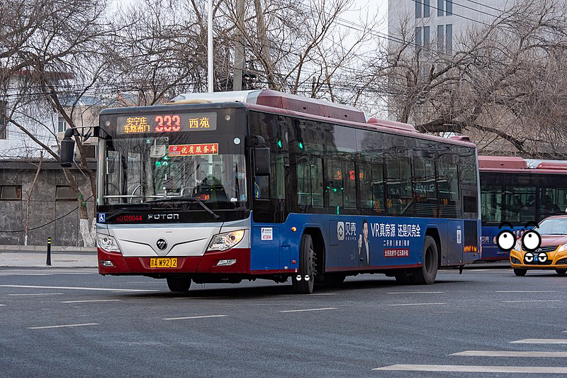 Bus, Car, Tire