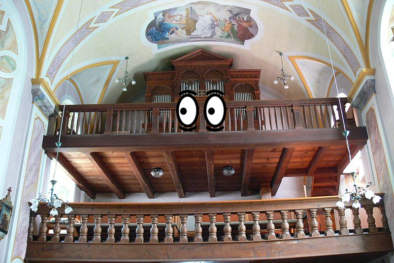 Organ