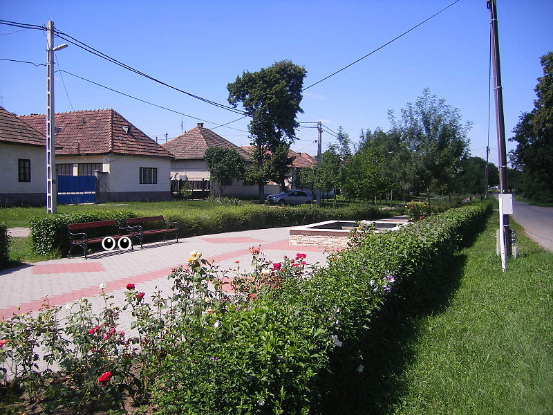 Bench