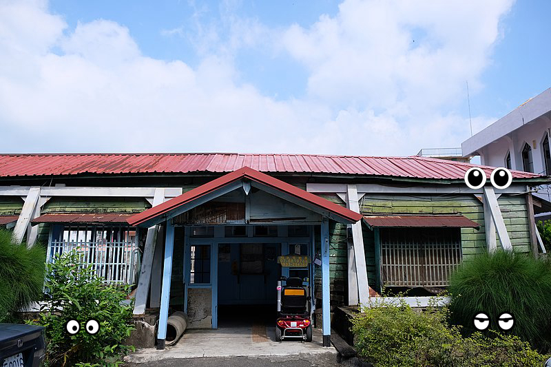 Building, House, Houseplant, Houseplant