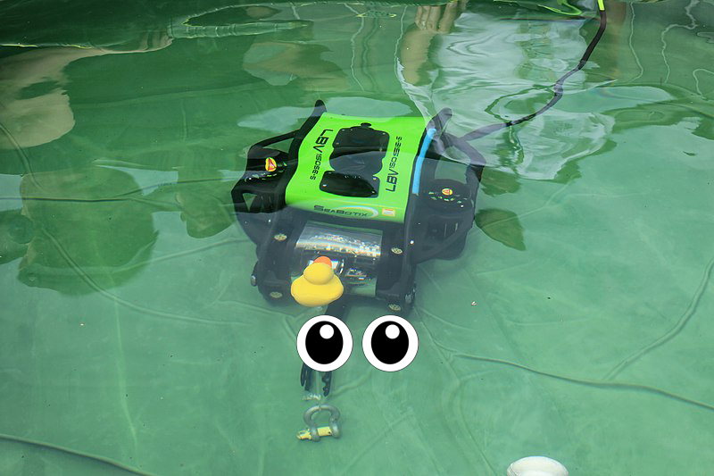 Toy