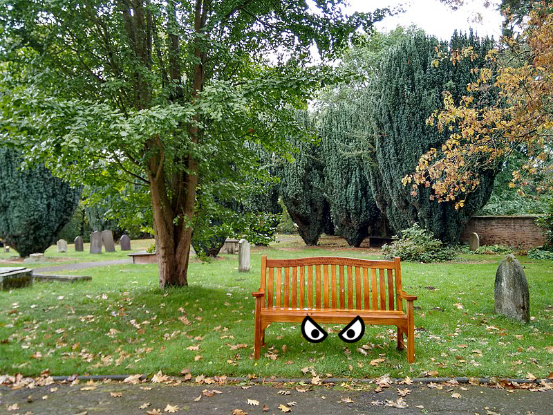 Bench