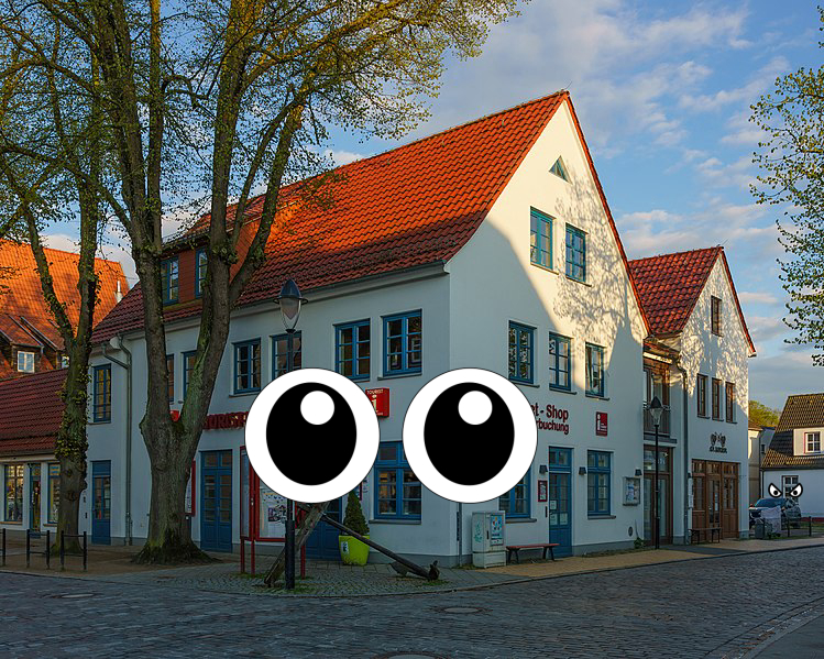 House, House