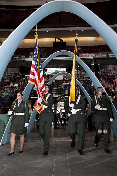 Flag, Suit