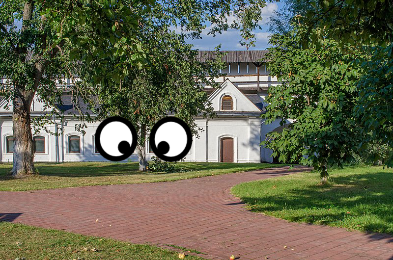 House, Building