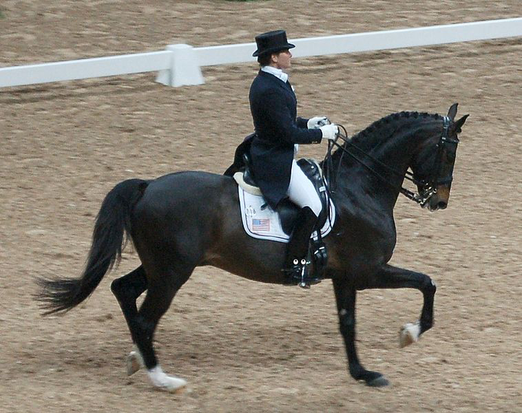 Horse, Shoe