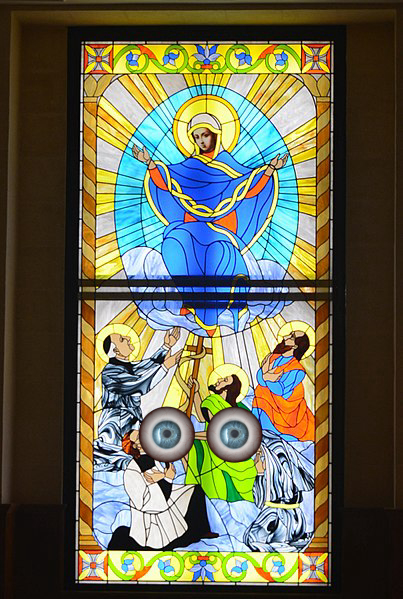 Window
