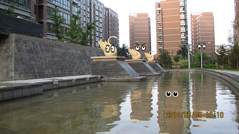 Building, Animal, Building, Building