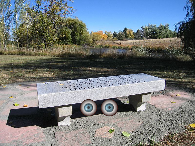 Bench
