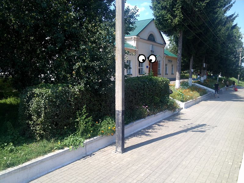 House
