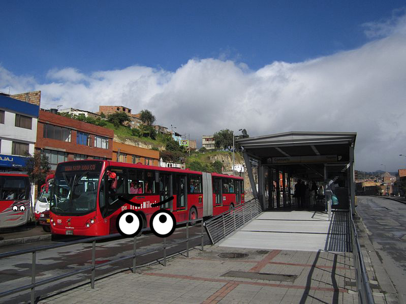 Bus, Bus