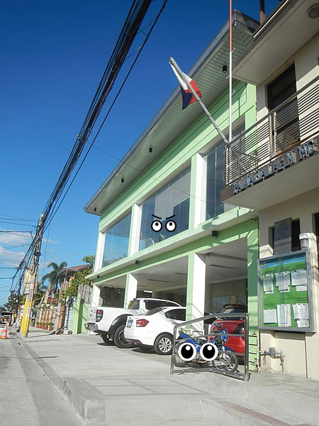 Window, Car, Building, Motorcycle