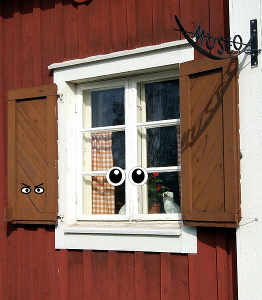 Door, Window