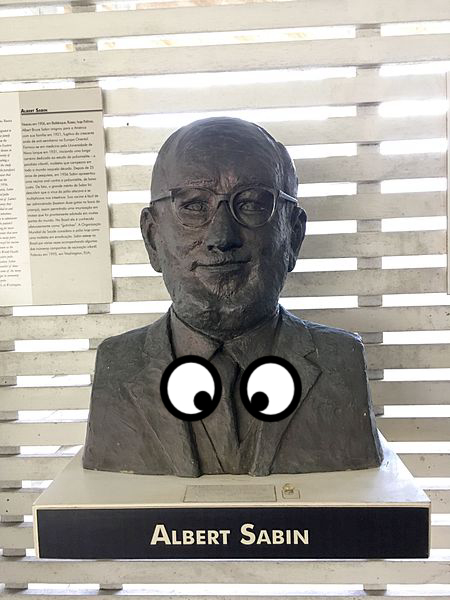 Bust