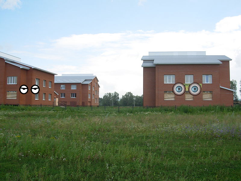 House, House
