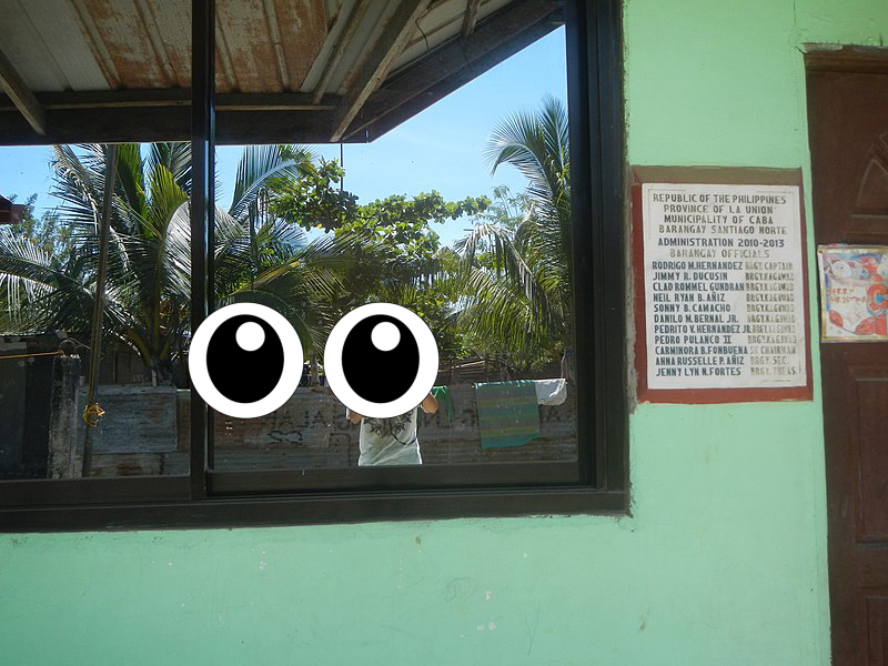 Window