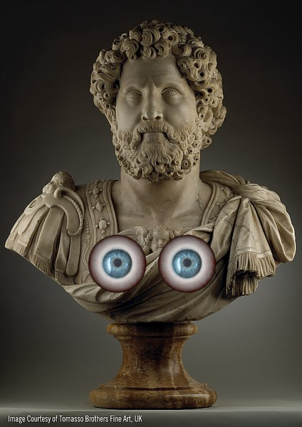 Bust