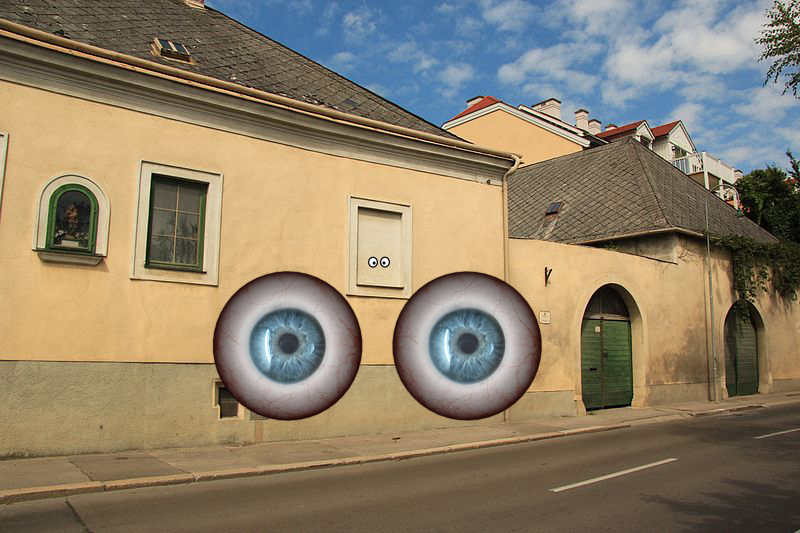 Window, Building