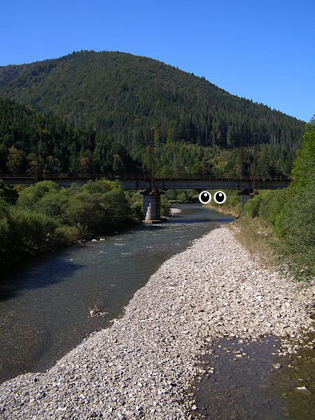 Bridge