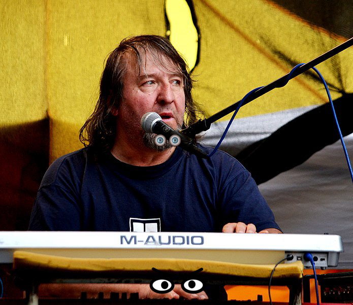 Microphone, Musical instrument