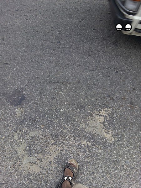 Tire, Shoe