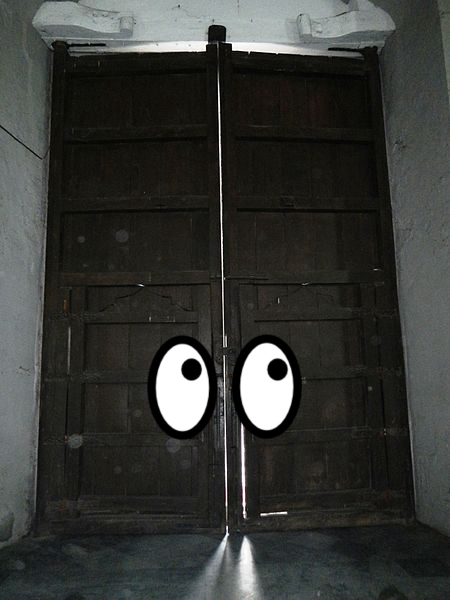Door