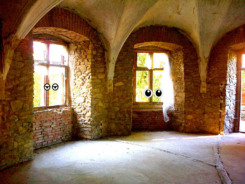 Window, Window