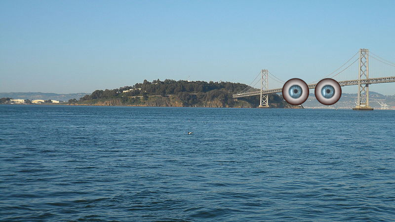 Bridge