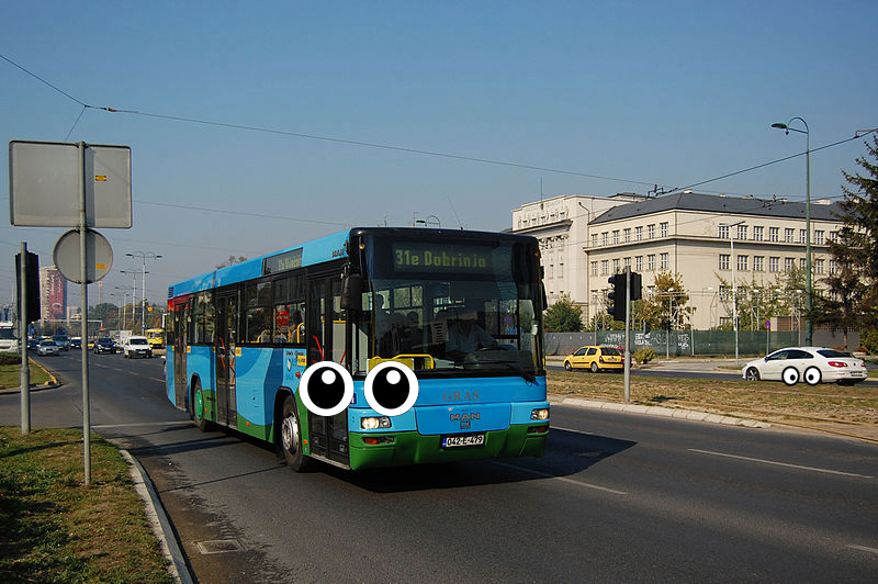 Bus, Car