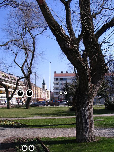 Building, Plant, Building