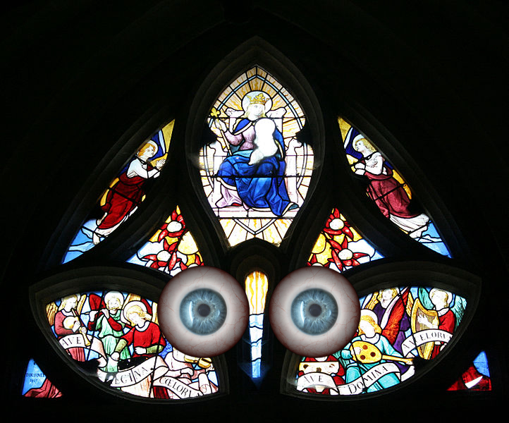 Window