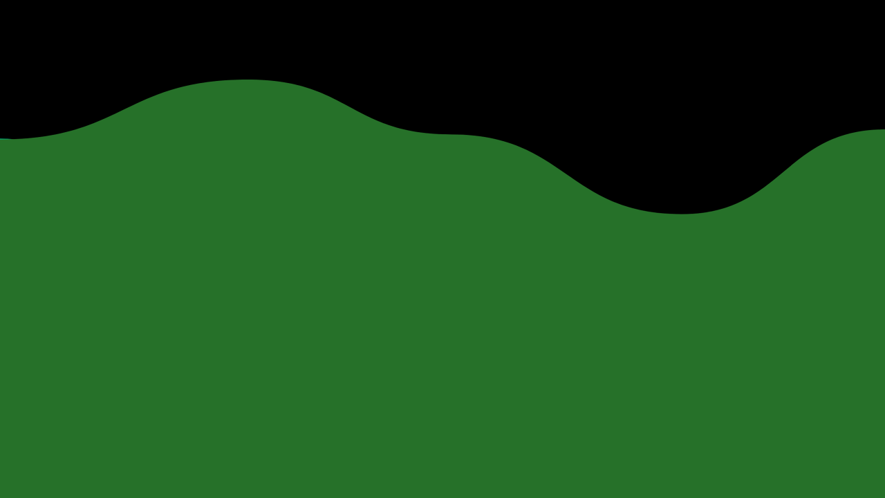 A hill.