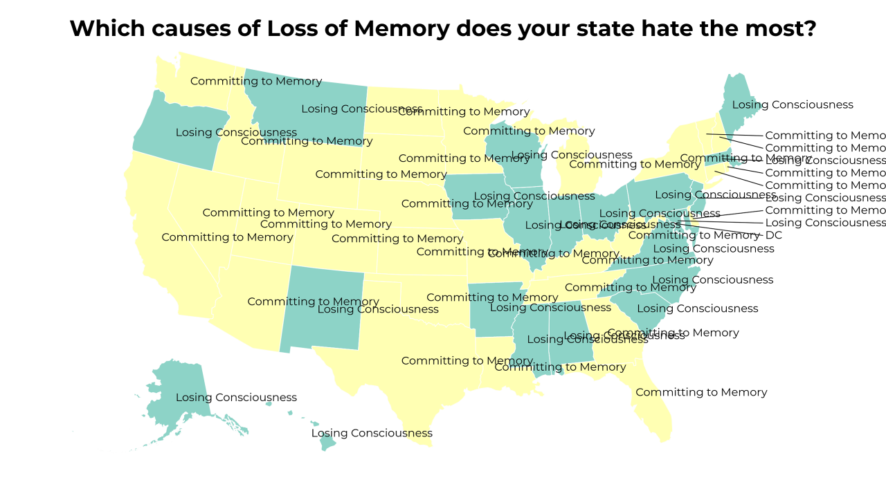 causes of Loss of Memory map