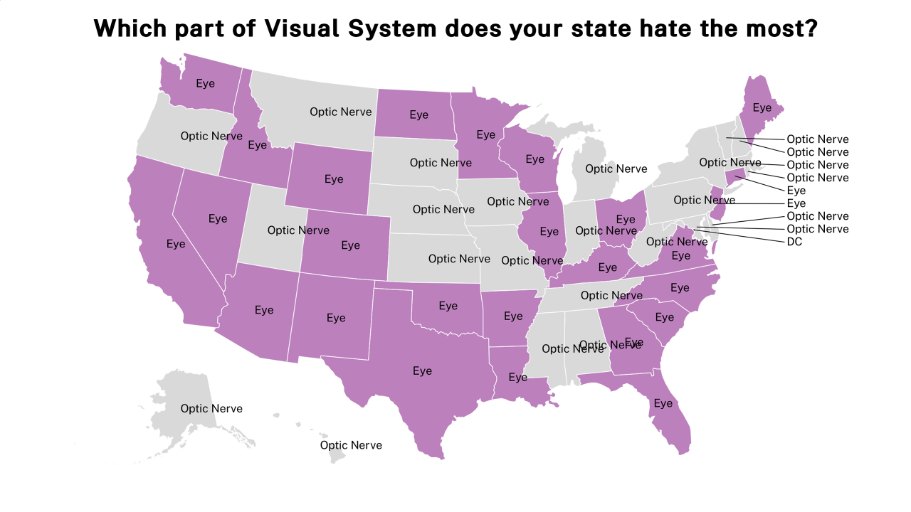 part of Visual System map