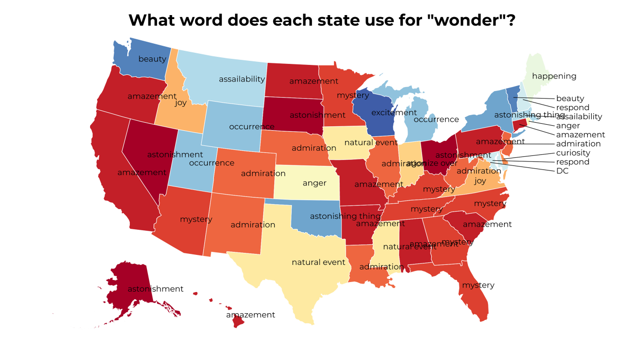 wonder map
