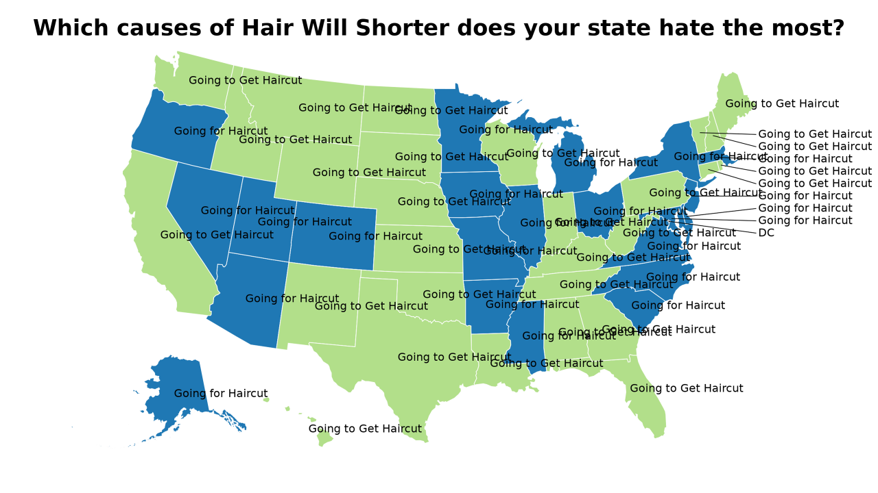 causes of Hair Will Shorter map