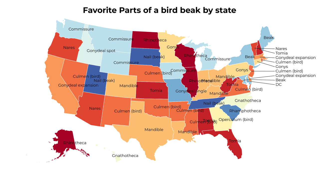 Parts of a bird beak map