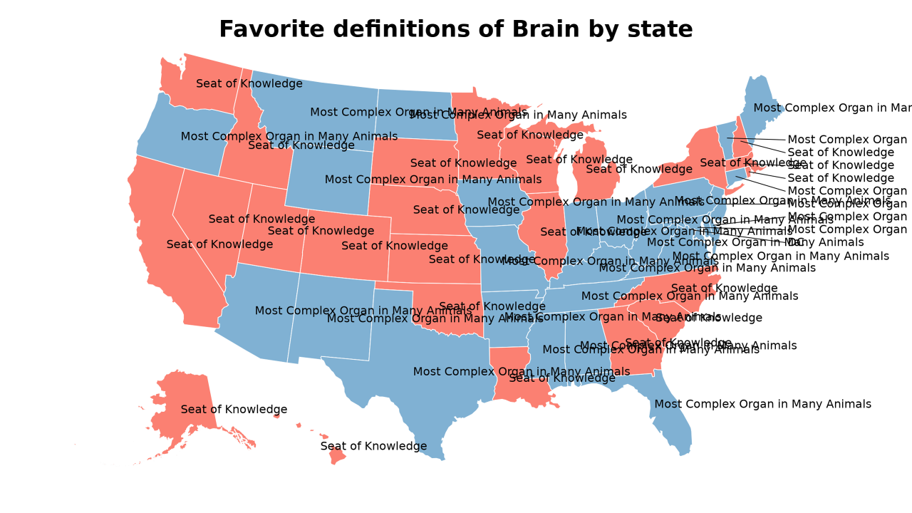 definitions of Brain map