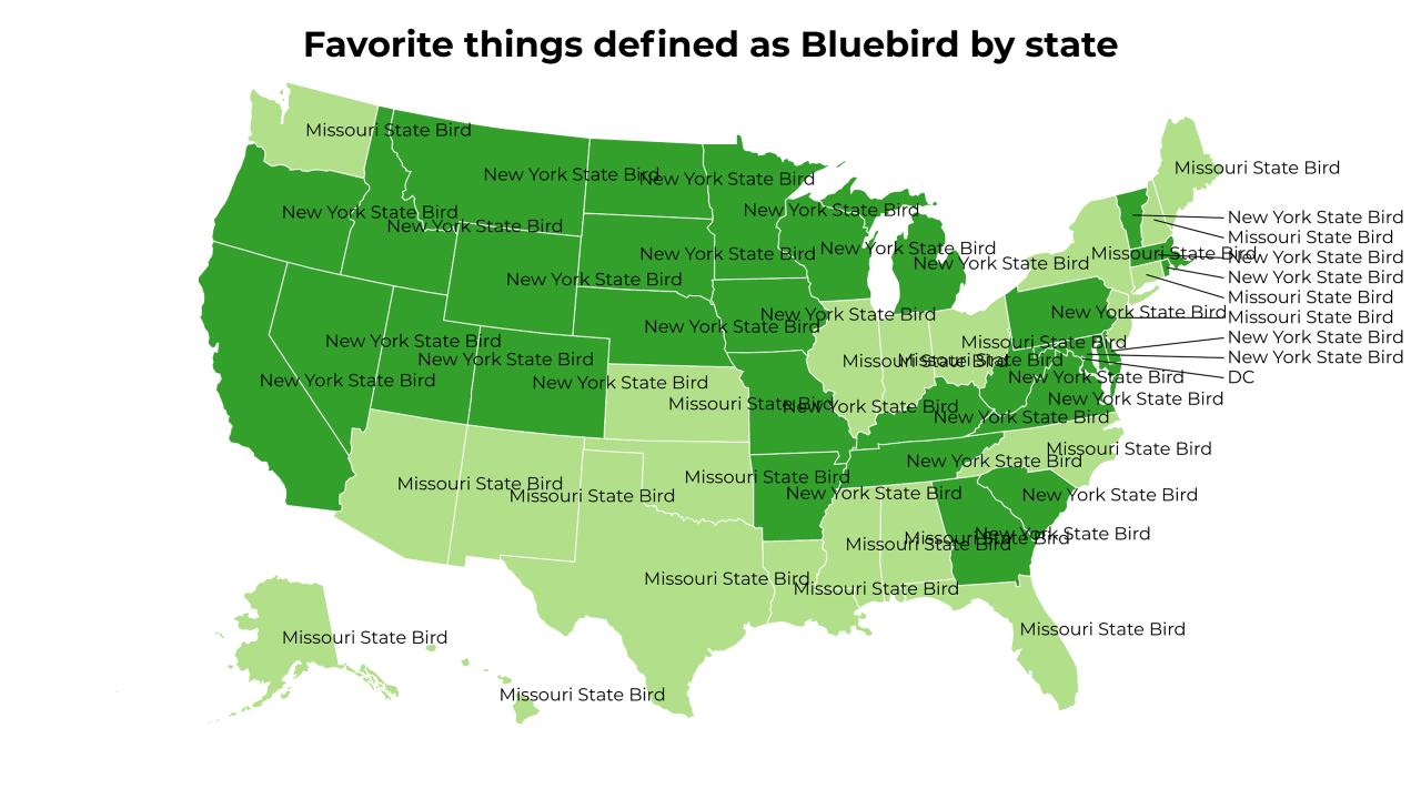 things defined as Bluebird map