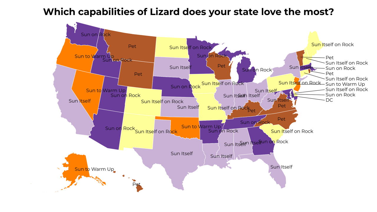 capabilities of Lizard map