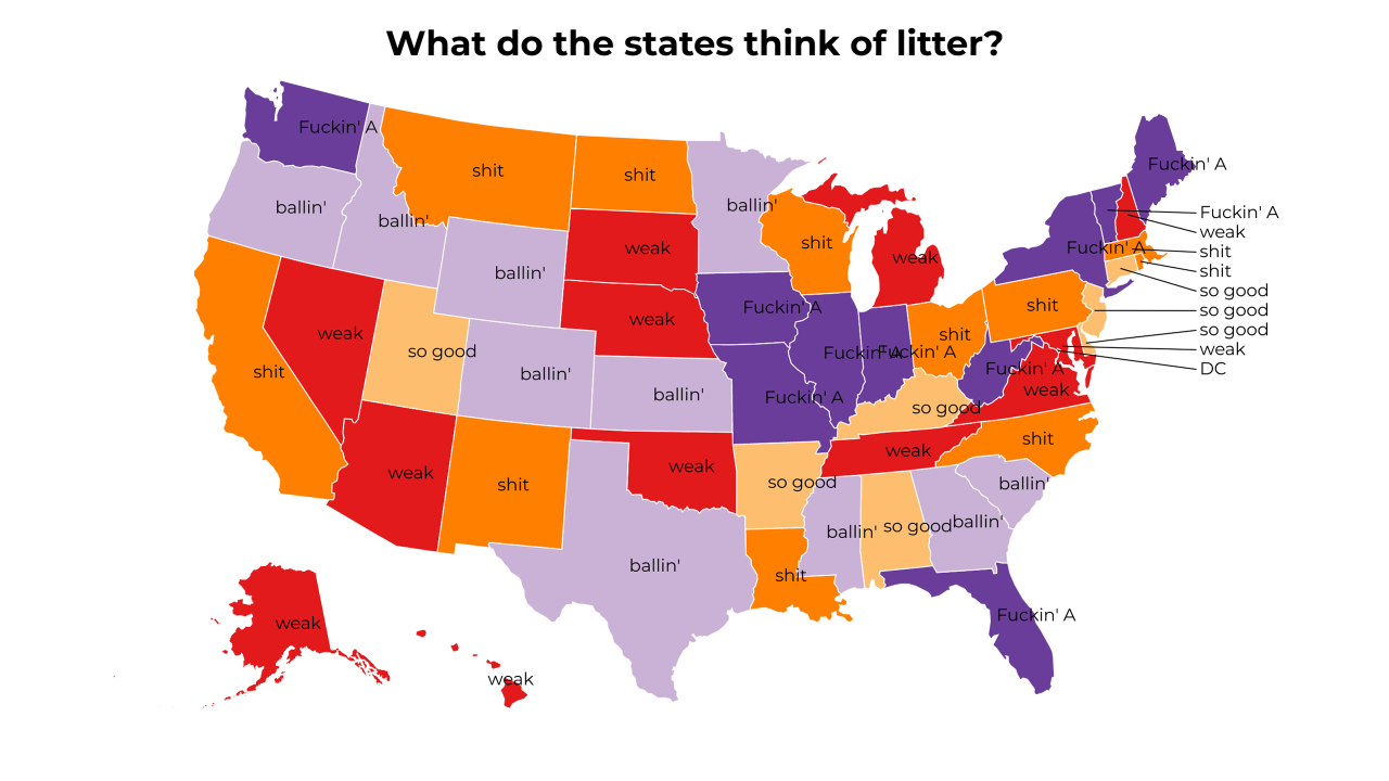 litter map