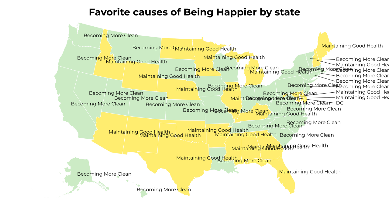 causes of Being Happier map