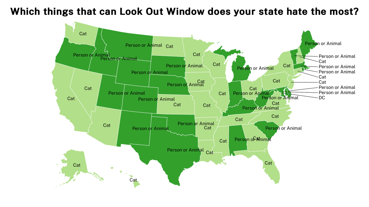 things that can Look Out Window map