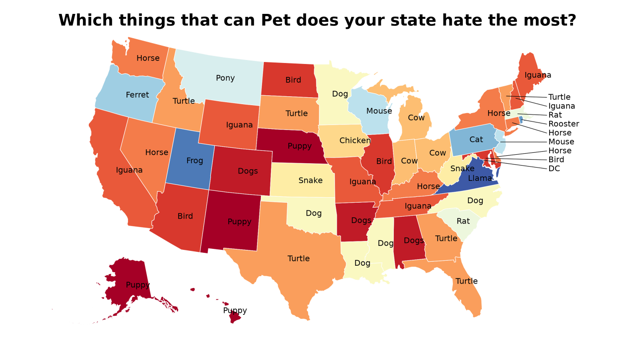 things that can Pet map