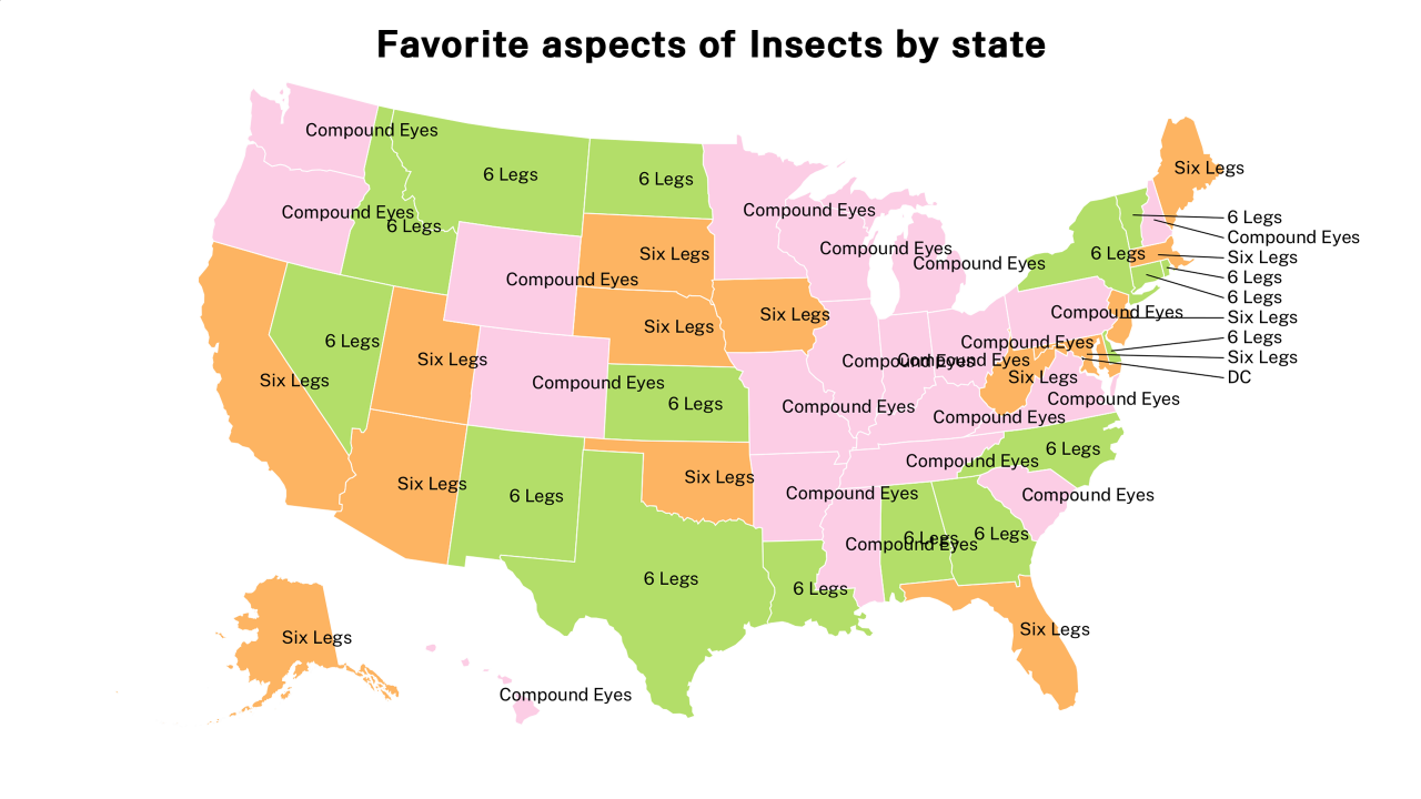 aspects of Insects map